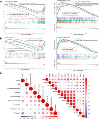 A Novel CRISPR/Cas9 Screening Potential Index for Prognostic and Immunological Prediction in Low-Grade Glioma